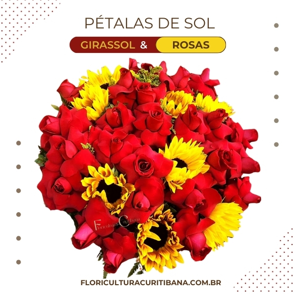 Pétalas do Sol