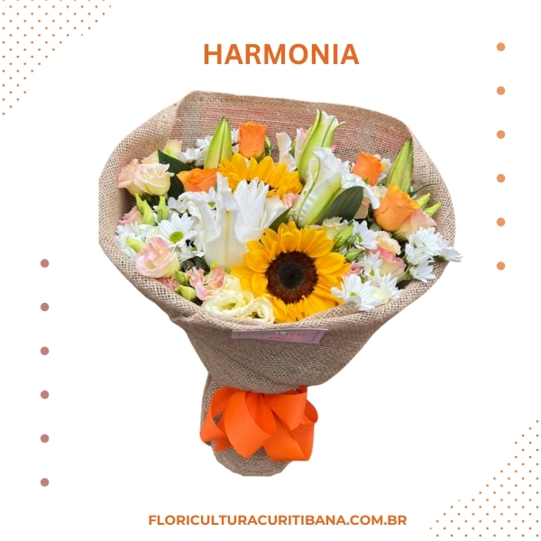Harmonia