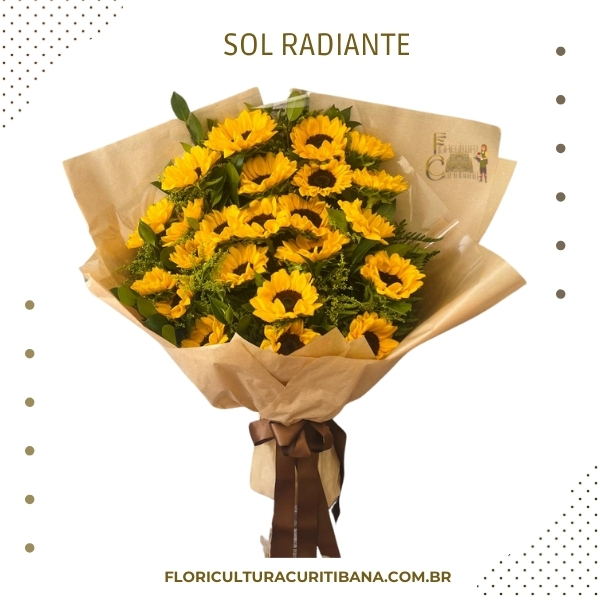 Sol Radiante